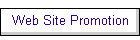 Web Site Promotion